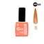 Punto Nails - Overgel 3 Pasos 79 12 ML